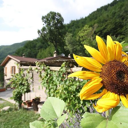 Agriturismo Ca Sonino Bettola エクステリア 写真