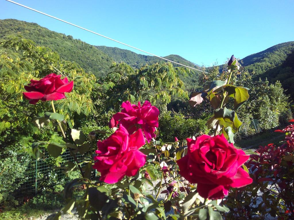 Agriturismo Ca Sonino Bettola エクステリア 写真
