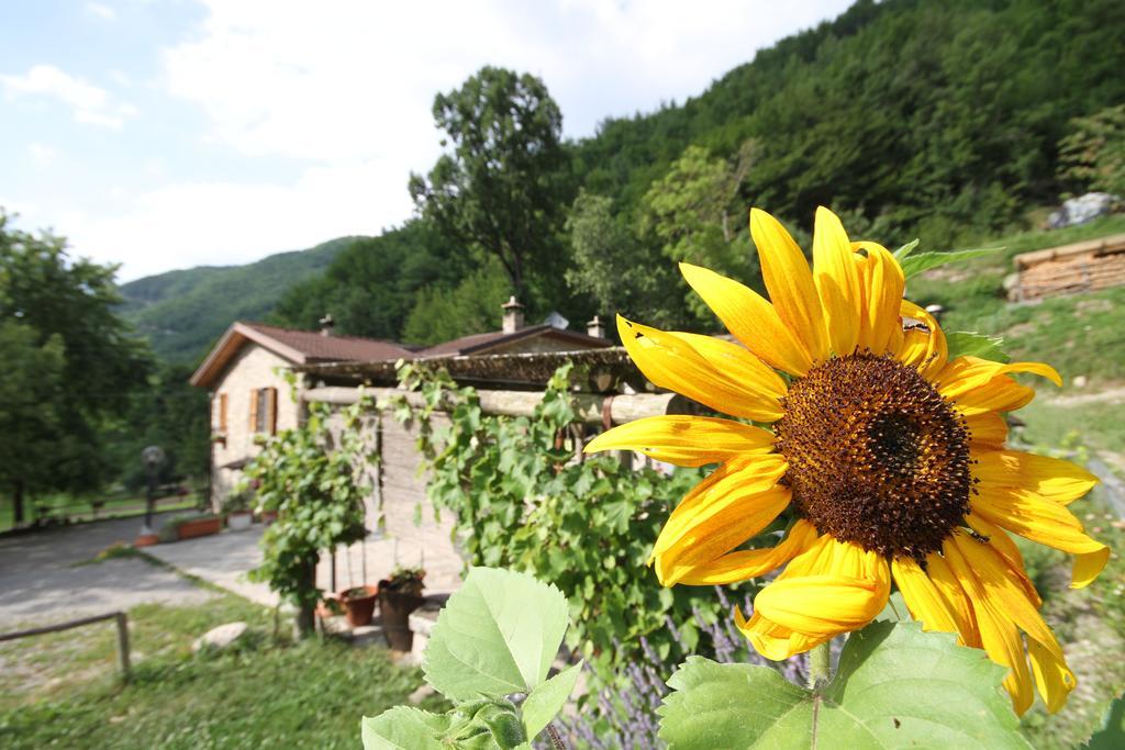 Agriturismo Ca Sonino Bettola エクステリア 写真