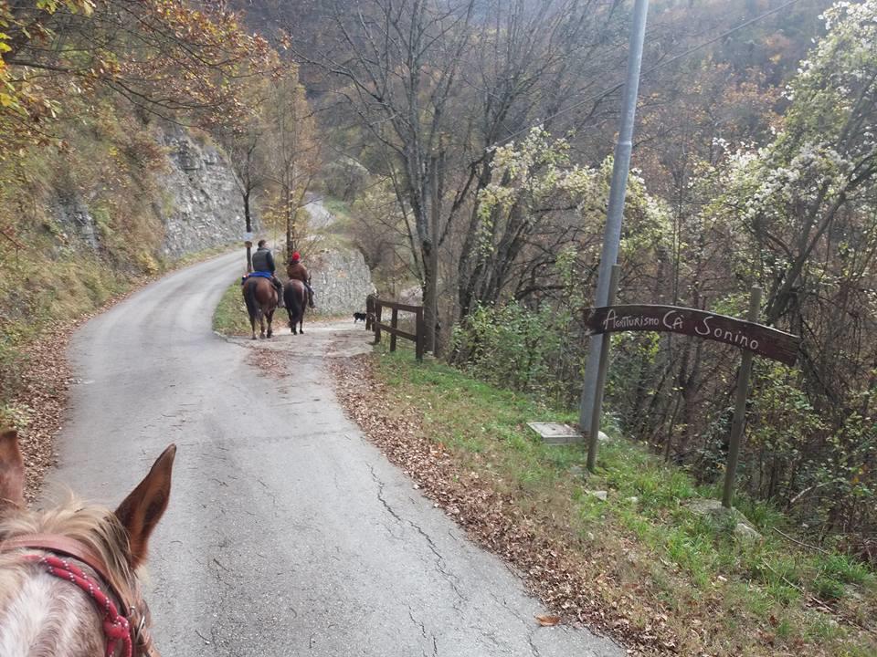 Agriturismo Ca Sonino Bettola エクステリア 写真
